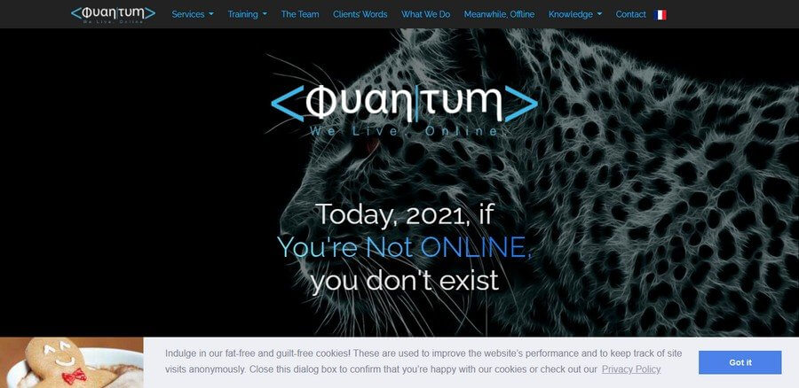 Web Design and Development Companies in Mauritius (Quantum) - ColorWhistle