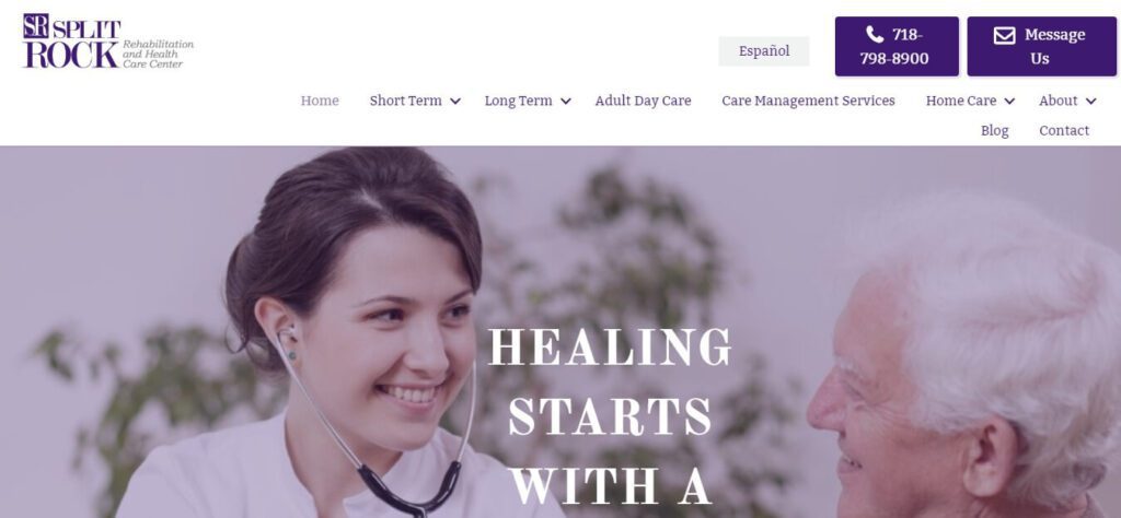 Healthcare & Medical Website Design Ideas (SplitRock) - ColorWhistle
