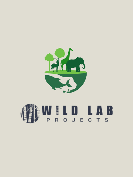 Website Development for Wild Lab Projects