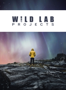 Website Development for Wild Lab Projects