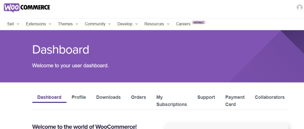 Top E-commerce Website Builders (WooCommerce) - ColorWhistle