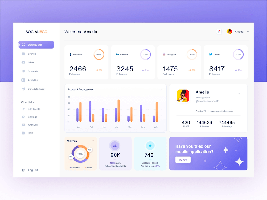 Modern Dashboard Design, Dashboard Chart Design Examples (SocialEco) - ColorWhistle