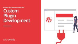 Custom Plugin Development to Enhance Your Business Growth