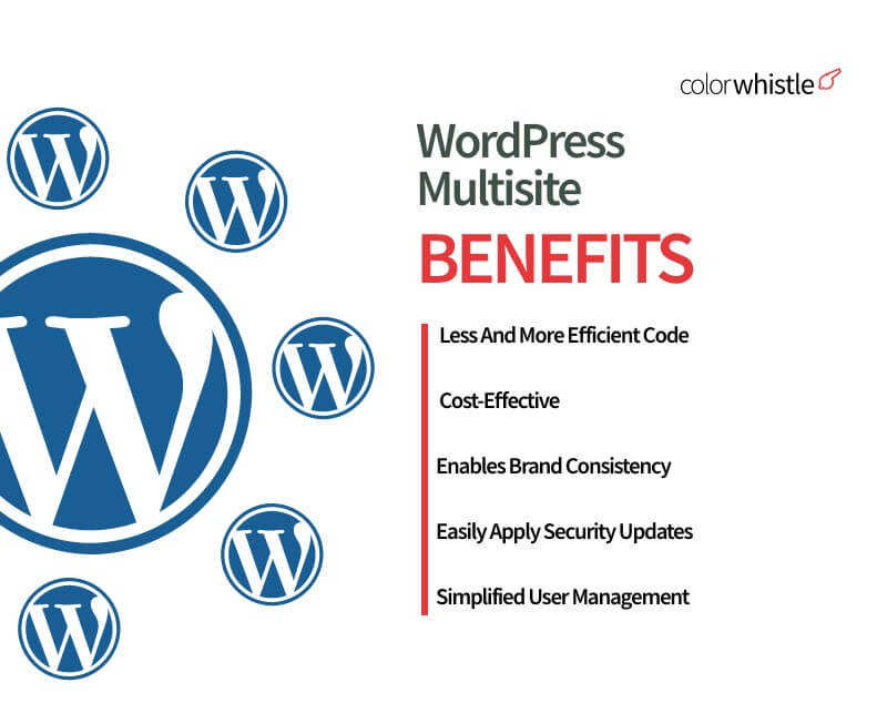 WordPress Multisite Benefits - Best practices & tips - ColorWhistle