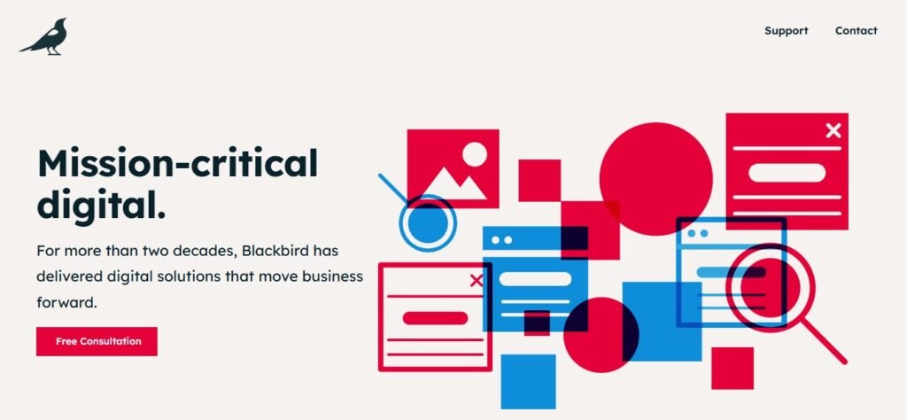 Digital Marketing Companies in USA (Black Bird Digital) - ColorWhistle