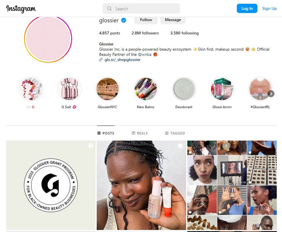 Instagram Social Media Platform for eCommerce - ColorWhistle