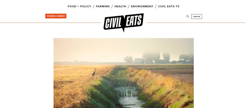 Website Design Ideas, Examples and Inspirations for Small Business  (Civil Eats) - ColorWhistle