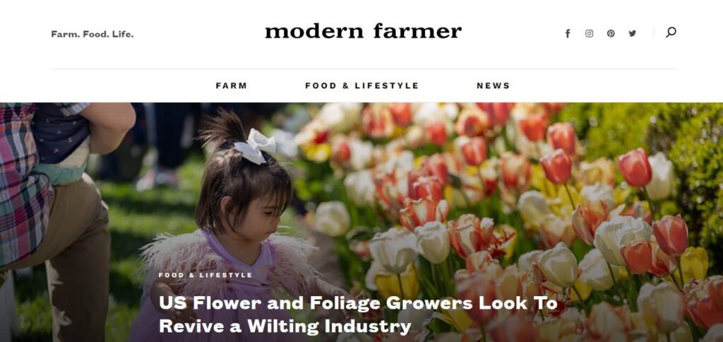 Website Design Ideas, Examples and Inspirations for Small Business  (Modern Farmer) - ColorWhistle