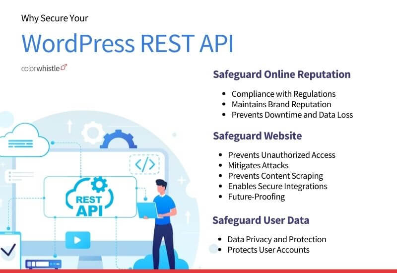 Best Practices for Securing Your WordPress REST API (Why Securing your WordPress REST API is Crucial ) - ColorWhistle