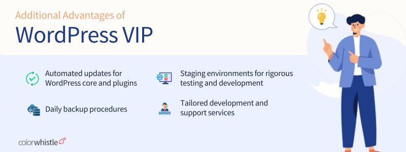 WordPress VIP for Enterprise Revolutionizing Enterprises’ Website Development (Advantages) - ColorWhistle