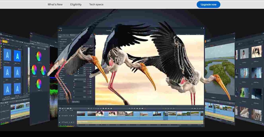 Best video marketing software (editing softwares) - Pinnacle Studio - ColorWhistle