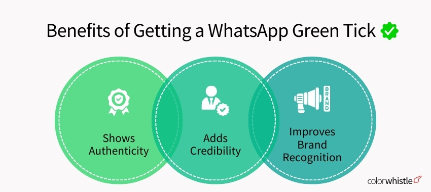 WhatsApp Green Tick Account Setup Benefits - ColorWhistle
