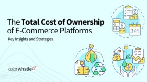 The Total Cost of Ownership (TCO) of E-Commerce Platforms: Key Insights and Strategies