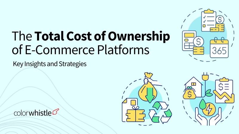 The Total Cost of Ownership of E-Commerce Platforms Key Insights and Strategies - ColorWhistle