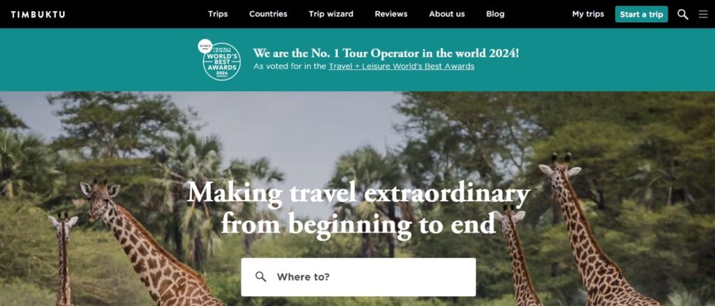 Transforming Travel Sectors with Custom Website Development Solutions (Timbuktu) - ColorWhistle