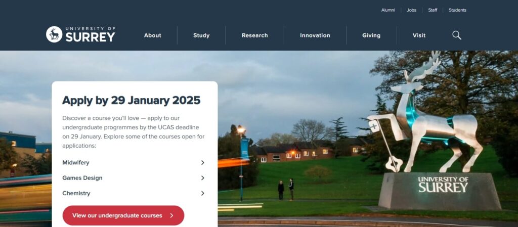 Transforming Travel Sectors with Custom Website Development Solutions (University of Surrey) - ColorWhistle