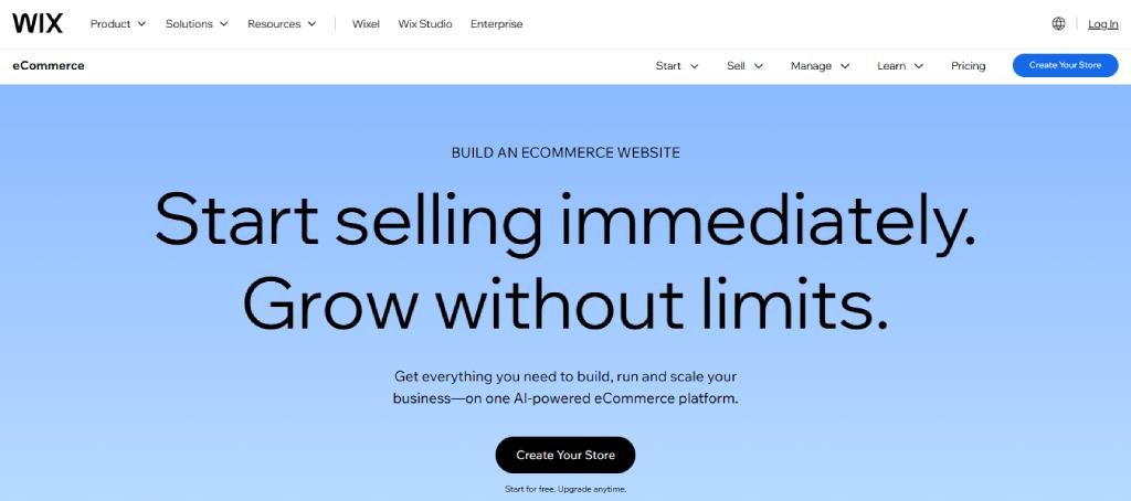 wix ecommerce website builder