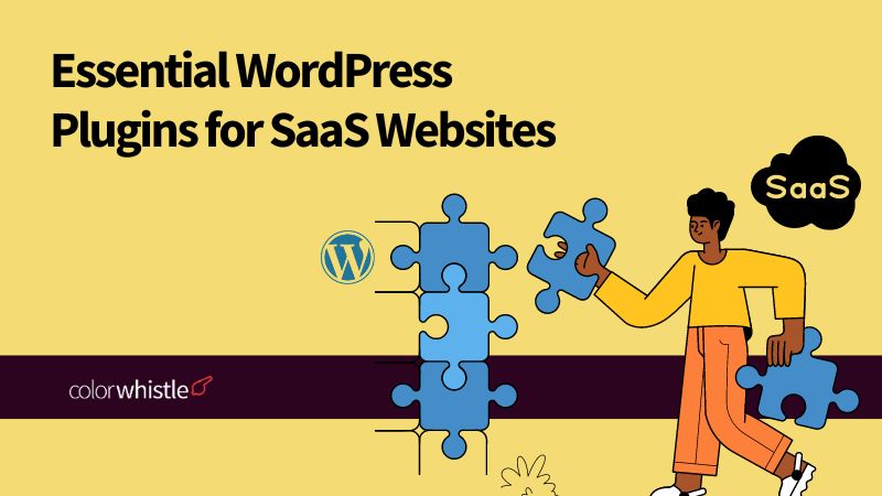 Essential WordPress Plugins for SaaS Websites - ColorWhistle