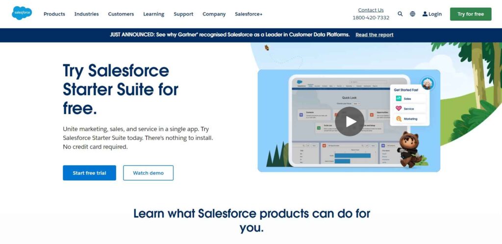 Best Automotive CRM Software On The Market - Salesforce - Colorwhistle