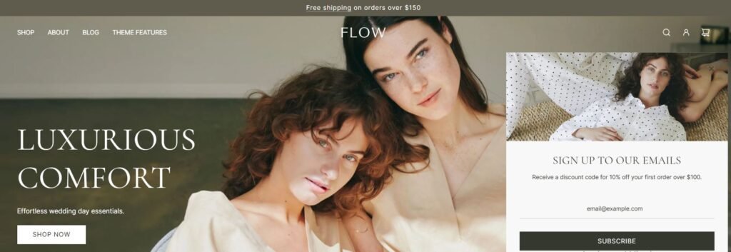 Top Shopify Themes for fashion brands (Envy Theme)- ColorWhistle