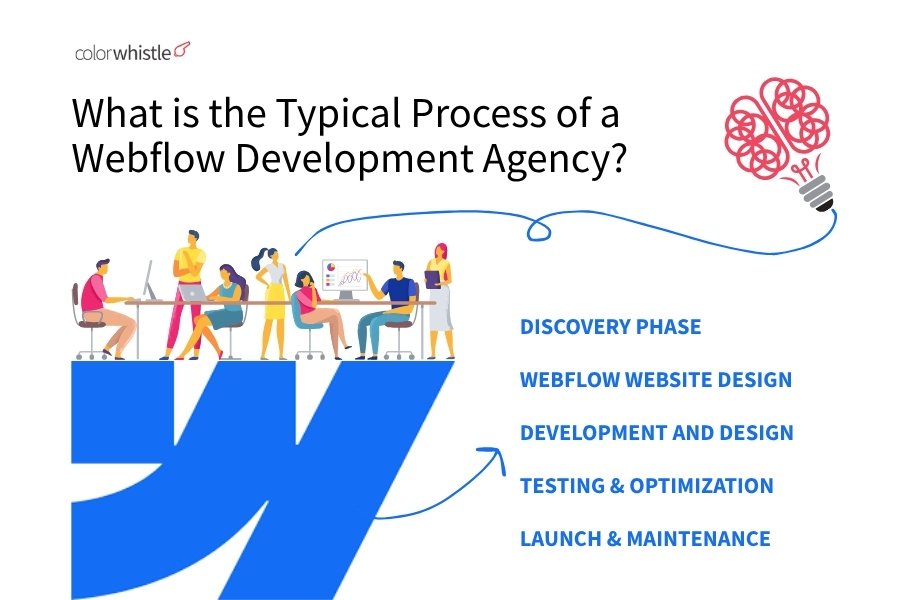 What is the Typical Process of a Webflow Development Agency_ - ColorWhistle