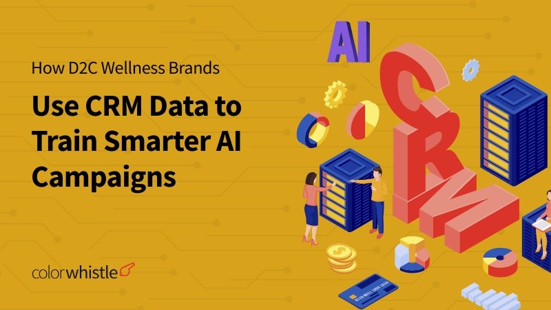 How D2C Wellness Brands Use CRM Data to Train Smarter AI Campaigns