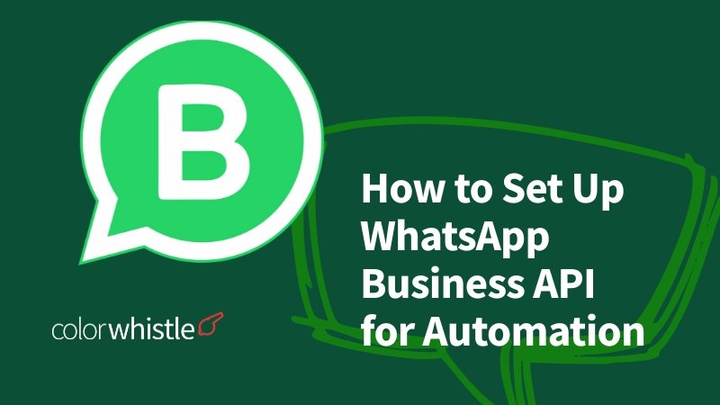 How to Set Up WhatsApp Business API for Automation A Complete Technical Checklist - ColorWhistle