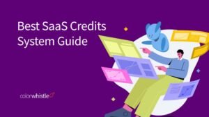 Best SaaS Credits System Guide and How Tech Businesses Can Implement It