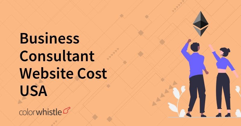 Business Consultant Website Cost USA
