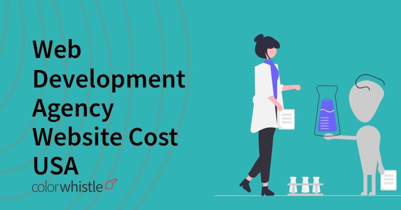 Web Development Agency Website Cost USA